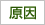 原因